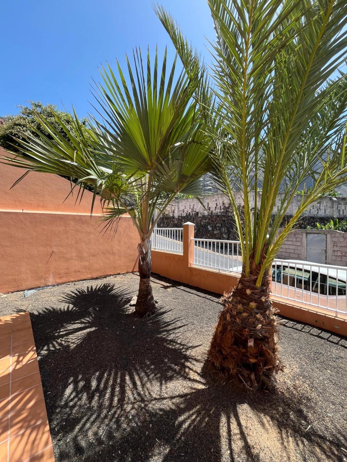 Chalet Piscina Privada Max 26º Jardin, Tranquilidad Caleta de Interián エクステリア 写真